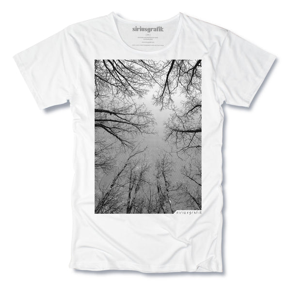 The Forest | White